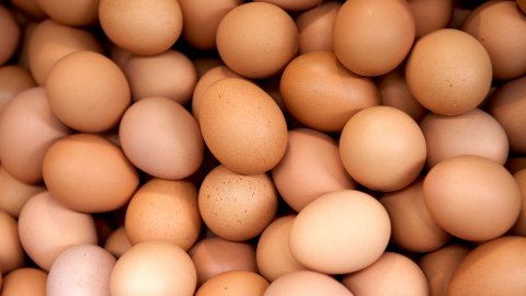 Rüyada Yumurta Görmek Ve Rüyada Yumurta Toplamak