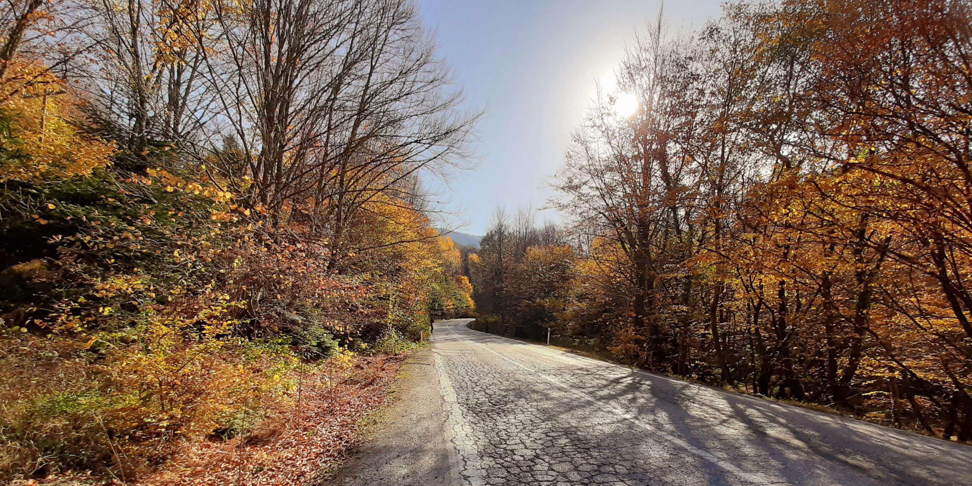 Falda Yol Görmek Ve Kahve Falında Engebeli Yol Görmek