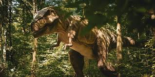 Kahve Falında Dinozor Görmek Ne Anlama Gelir?